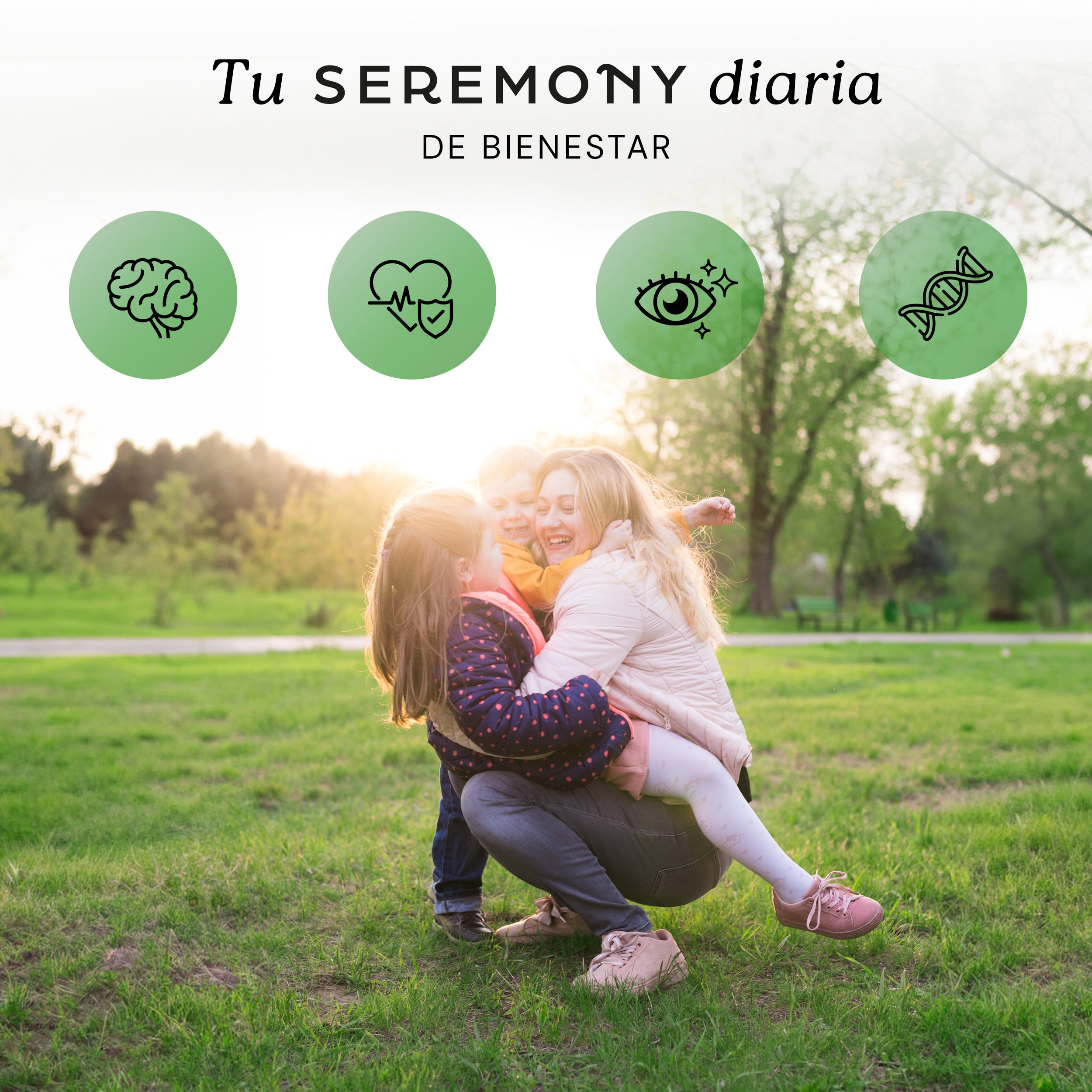 Holistico | suplemento de vitaminas y aminoácidos esenciales