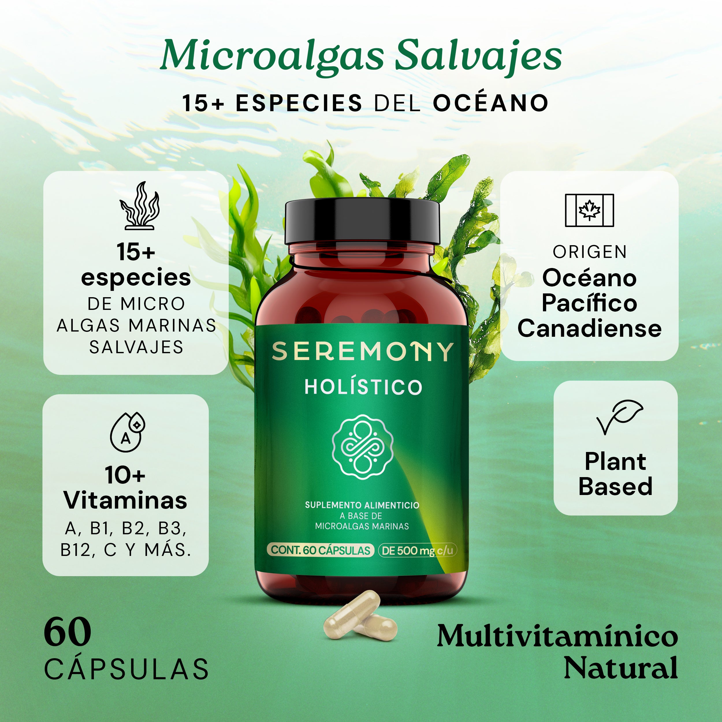 Holistico | suplemento de vitaminas y aminoácidos esenciales