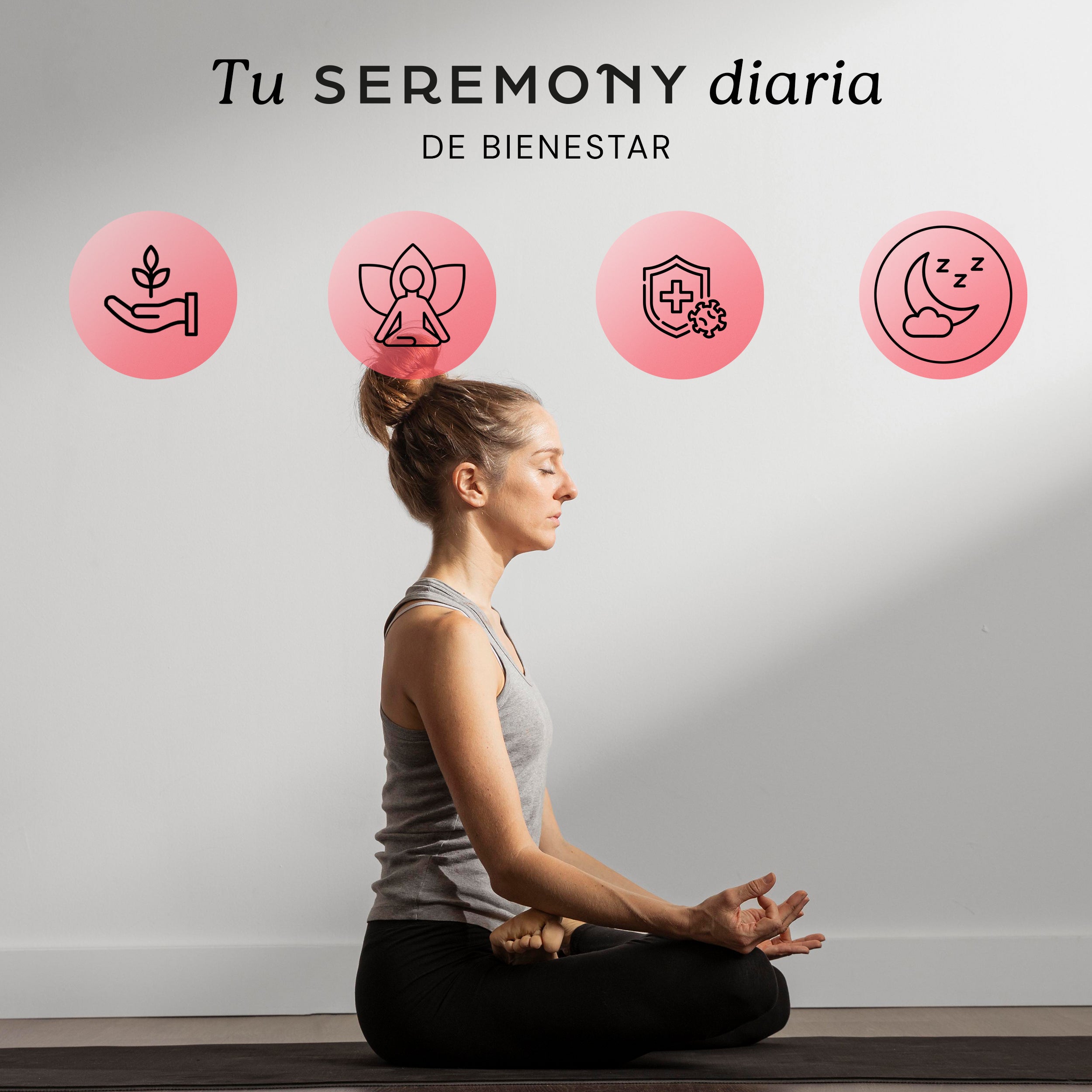 Hongo Reishi | Adaptógeno orgánico