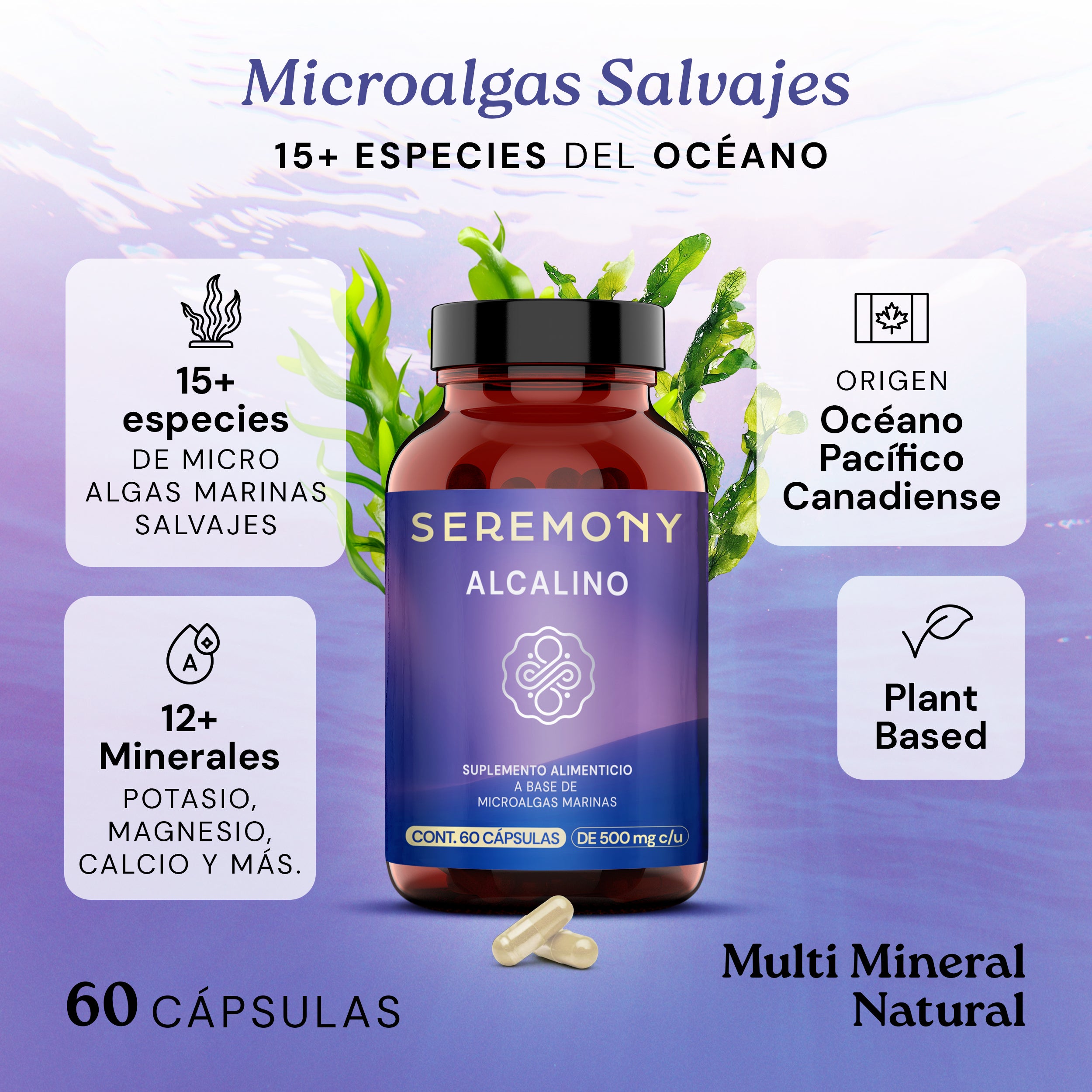 Alcalino | Suplemento de minerales